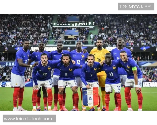 法国队蓝色球星之光 揭开足球巨星的荣耀与传奇