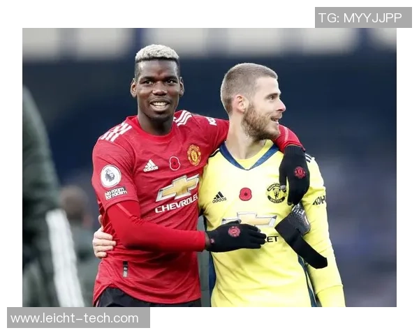 曼联球星花式足球技巧大揭秘 力量与艺术的完美结合 曼联球星花式足球技巧大揭秘 力量与艺术的完美结合