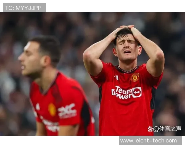 东盟地区足球场上的明星球员及其精彩表现分析 东盟地区足球场上的明星球员及其精彩表现分析