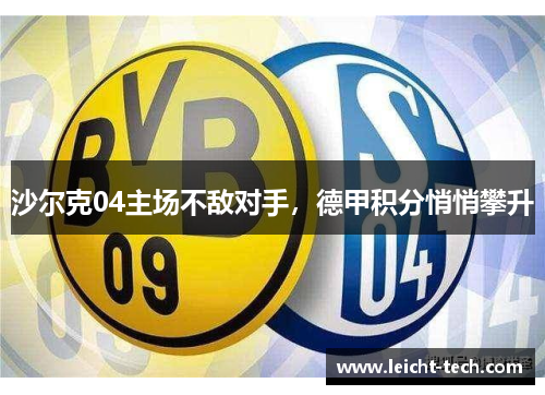 沙尔克04主场不敌对手，德甲积分悄悄攀升