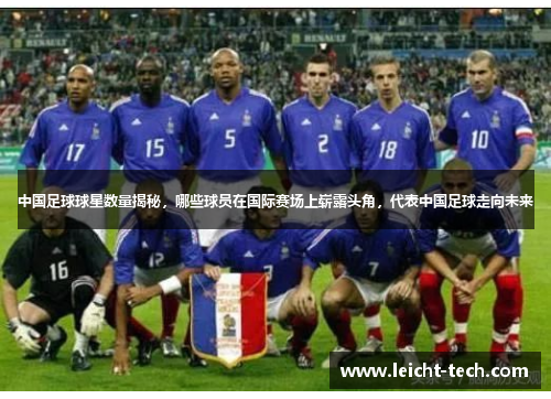 中国足球球星数量揭秘，哪些球员在国际赛场上崭露头角，代表中国足球走向未来